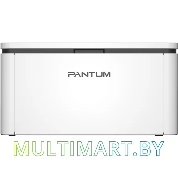 Принтер Pantum BP2300